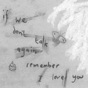 国内女优一级毛片
