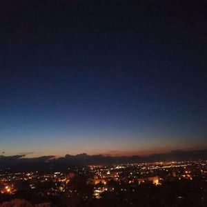 国内女优一级毛片
